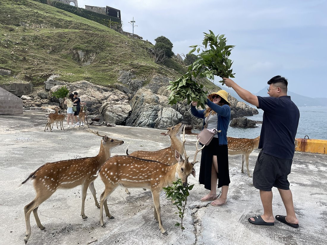 🦌2025南竿至大坵生態航班 3/17開航🦌
